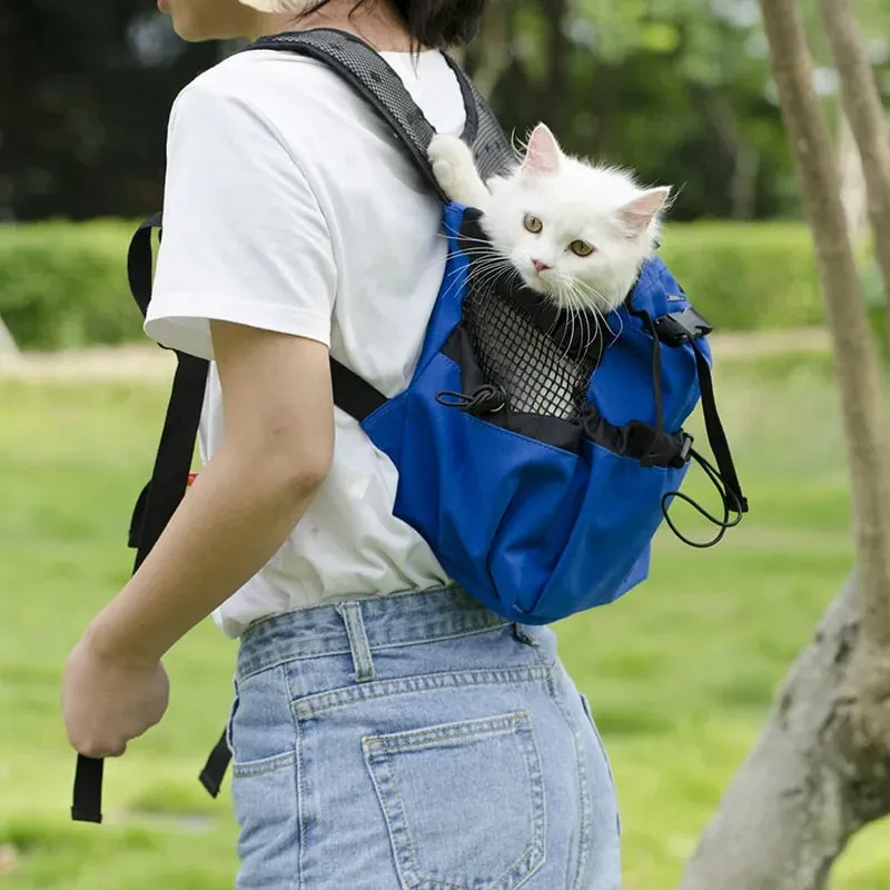 ANYWAGS Pet Carrier Large Black Travel Riding Driving Pet Backpack for Medium to Large Dogs with Pockets for Pet Supplies