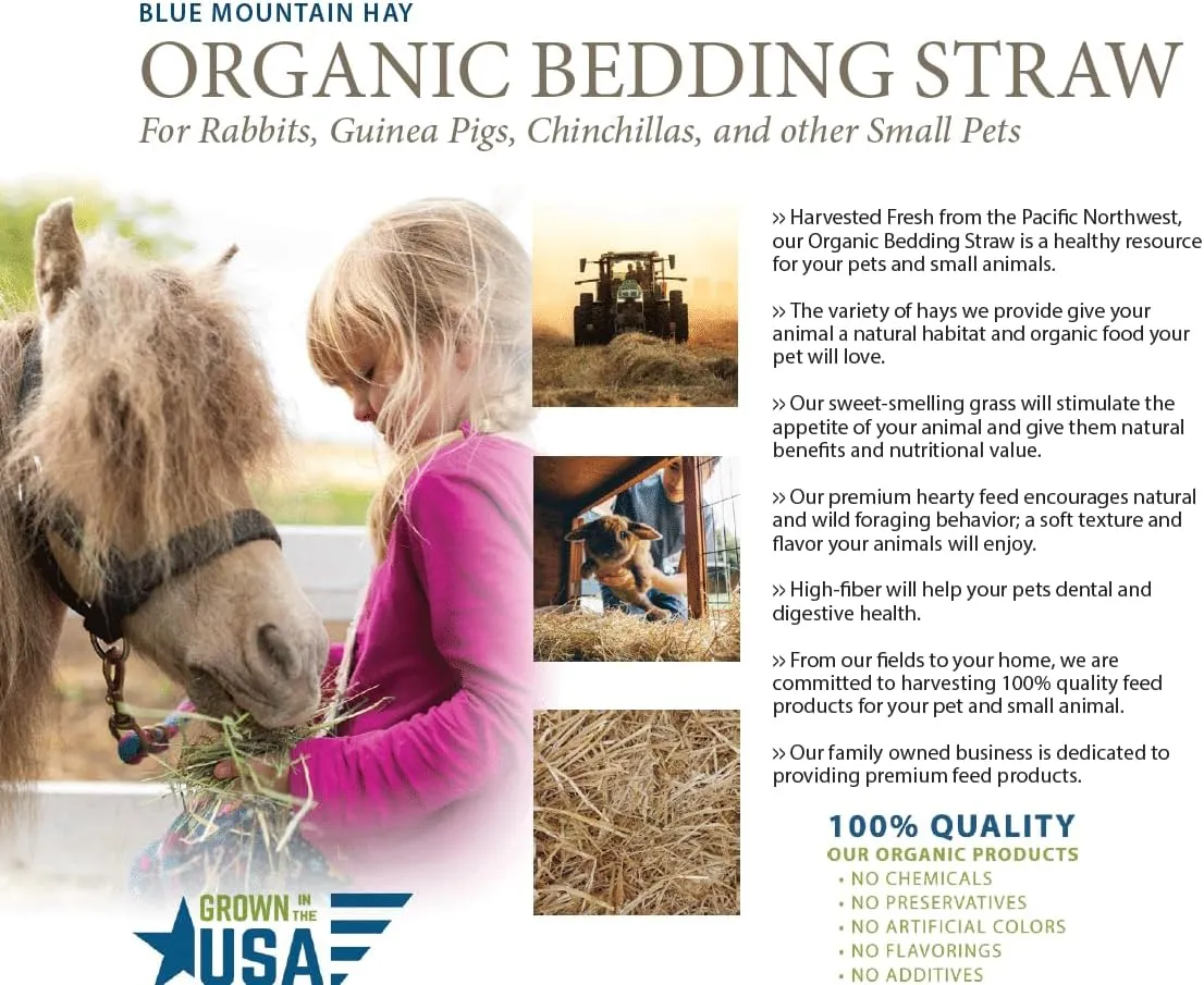 Blue Mountain Hay Organic Bedding Straw (10 lb) for Guinea Pigs, Chinchillas, Rabbits, Hamsters, Chickens, Stray and Feral Cats, Chicken Coops and Small Pet Shelters | Absorbent, Warm, Soft & Fresh