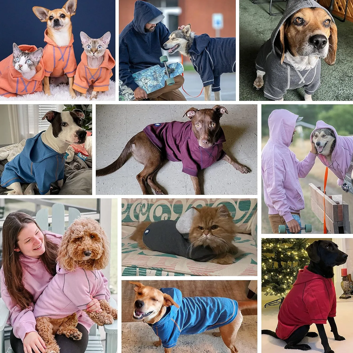 Blueberry Pet Essentials 2023 New Soft & Comfy Better Basic Cotton Blend Dog Hoodie Sweatshirt in Coral, Back Length 24", Pack of 1 Jacket for Dogs
