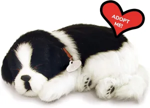 Border Collie - Pet Mate/Nap Breathing Life Like Sleeping Dog in Bed Sleeping Pet