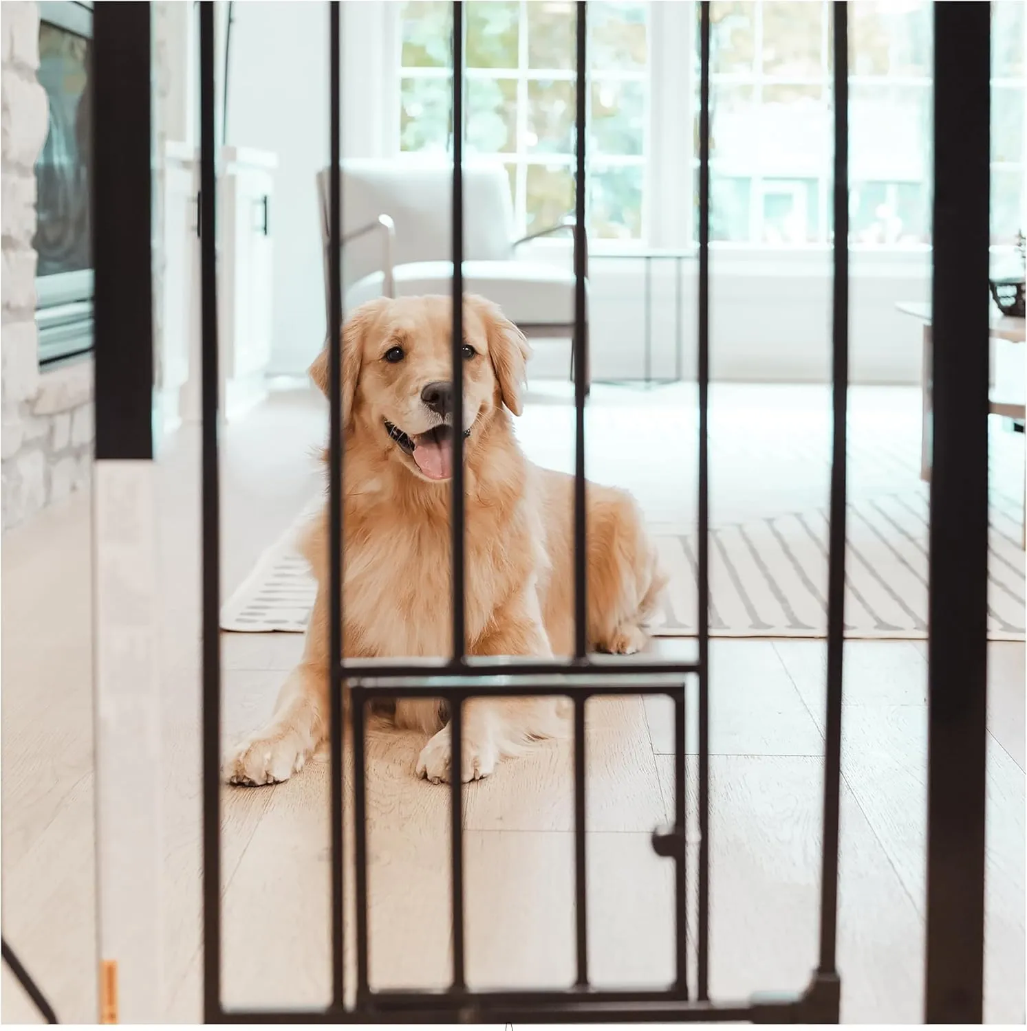 Carlson Extra Tall Walk Through Pet Gate with Small Pet Door, for Openings 29"-39" Wide,Includes 4-Inch Extension Kit, 4 Pack Pressure Mount Kit and 4 Pack Wall Mount Kit, Black