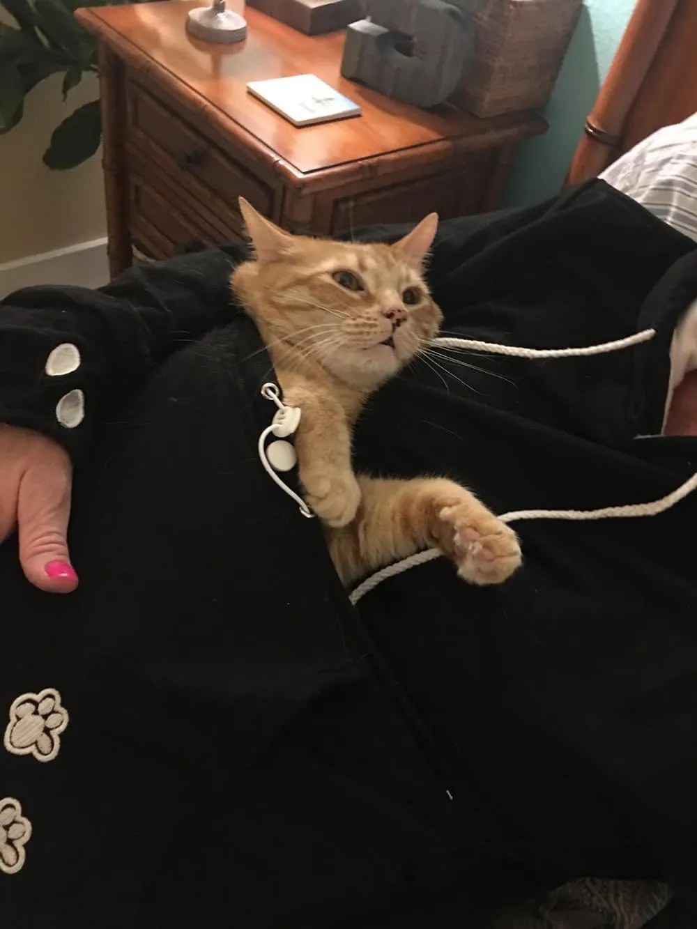 Cat Hoodie Pouch Kitten Puppy Carrier Hood Sweatshirt Pet Pocket Holder Top