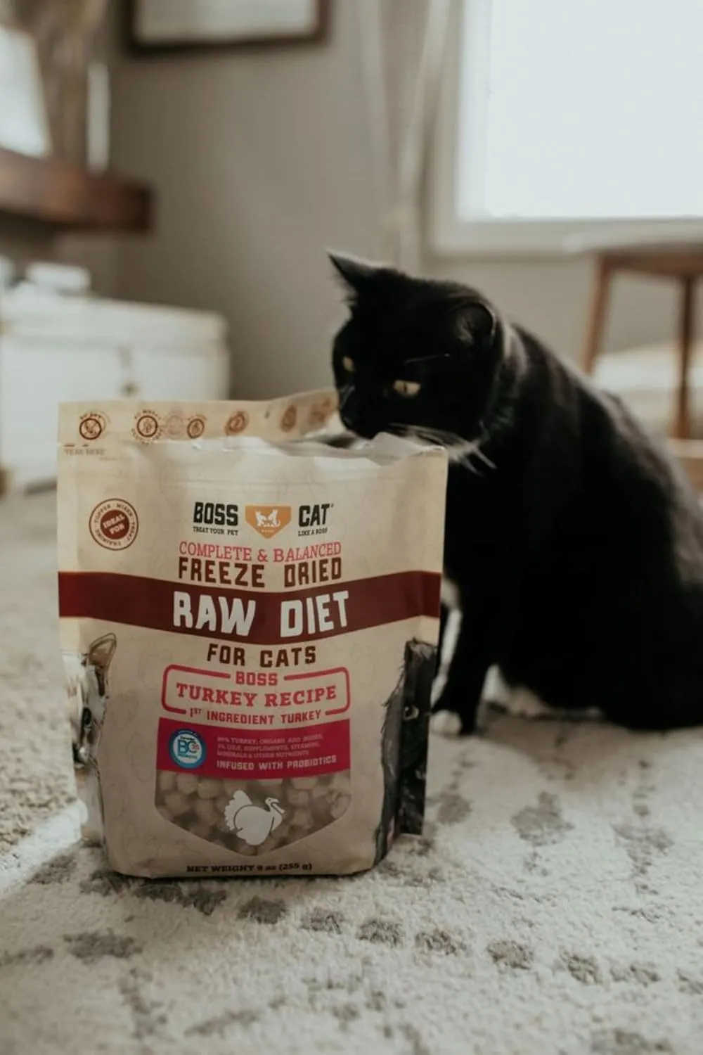 Complete & Balanced Freeze Dried Raw Diet for Cats, Turkey Recipe, 9 oz Bag