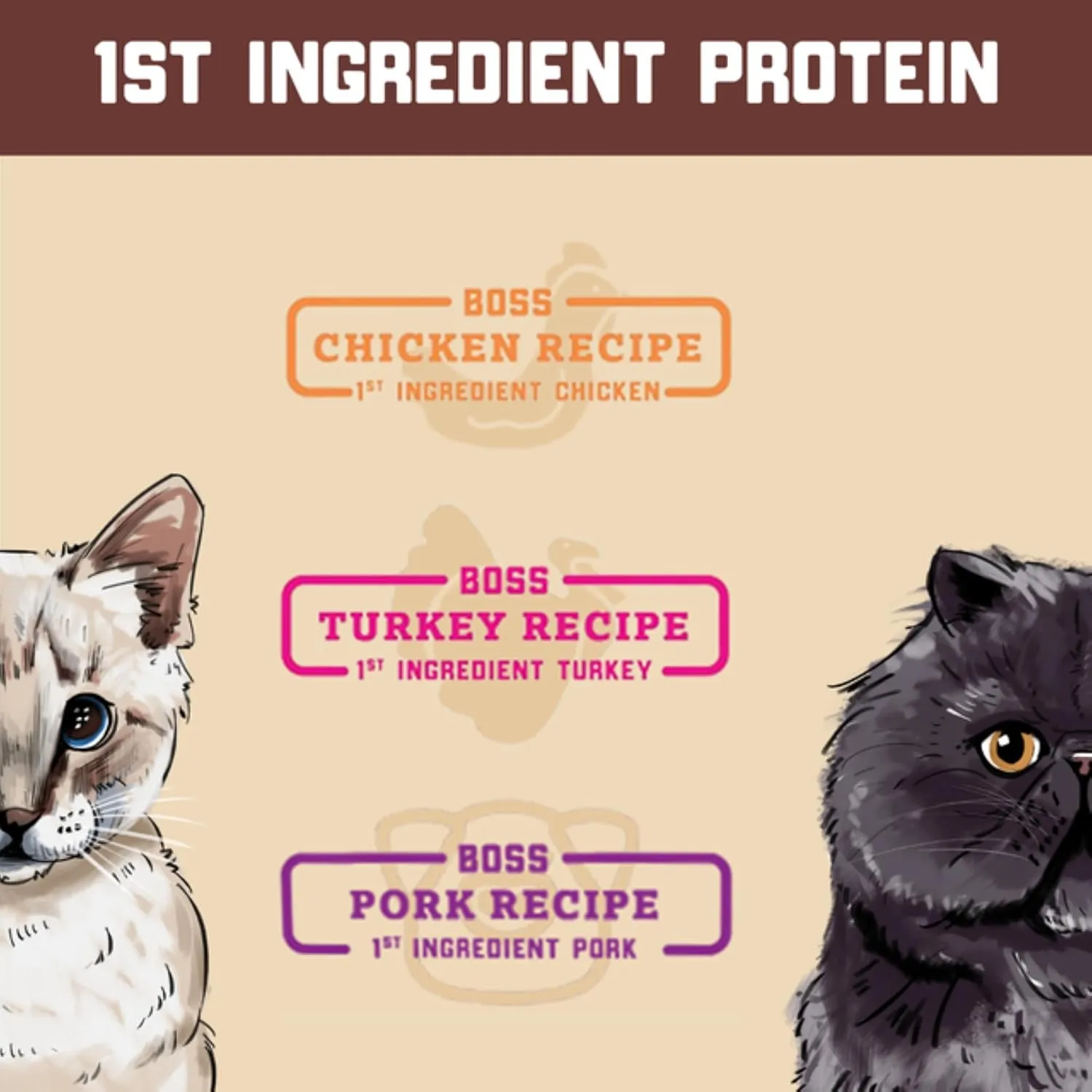 Complete & Balanced Freeze Dried Raw Diet for Cats, Turkey Recipe, 9 oz Bag