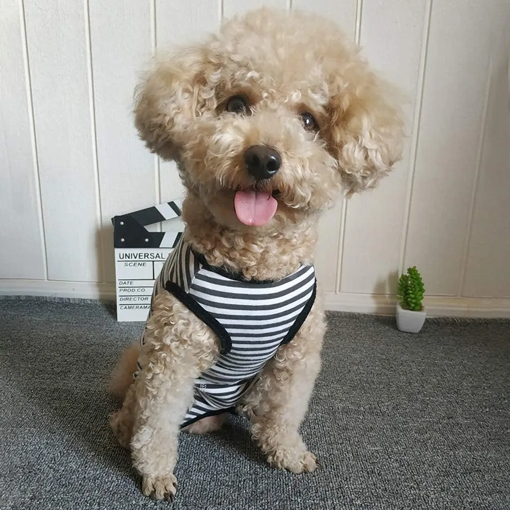 Dog’s Recovery Suit Post Surgery Shirt for Puppy, Wound Protective Clothes for Little Animals(Black White Stripe-s)