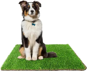 Downtown Pet Supply Replacement Dog Potty Grass, 20 x 30 - Washable Synthetic Grass Pad for Dogs, Suitable as Indoor or Outdoor Grass Pee Turf - Dog Housebreaking Supplies