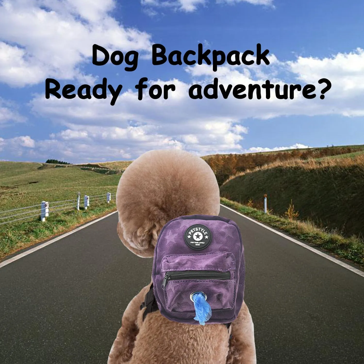FLAdorepet Dog Backpack Harness with Leash, Dog Poop Bag Dispenser, Pet Self Carrier Adjustable Travel Hiking Walking Harness Backpack for Small Medium Dogs (S((Fit:5-10lb) Purple)