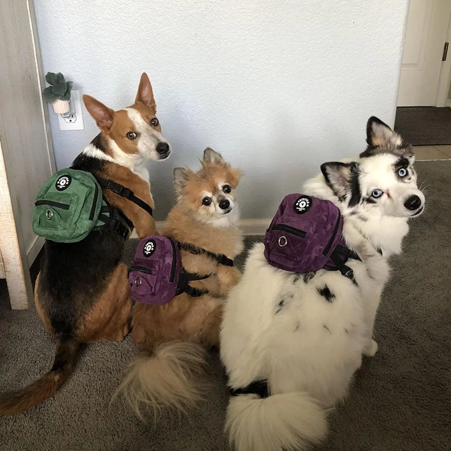 FLAdorepet Dog Backpack Harness with Leash, Dog Poop Bag Dispenser, Pet Self Carrier Adjustable Travel Hiking Walking Harness Backpack for Small Medium Dogs (S((Fit:5-10lb) Purple)