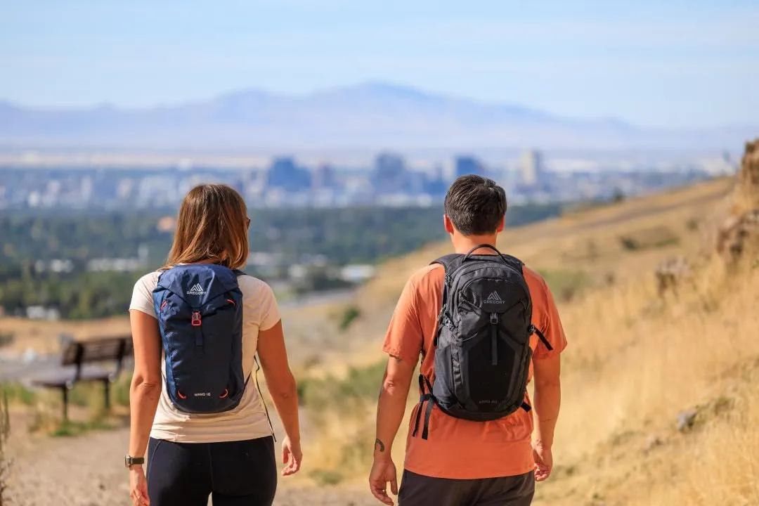 Gregory Nano 16L Unisex Day Hiking/Commuter/Active Travel Backpack, Breathable Backpanel, Hydration Port, One Size Fits All, Rio Blue