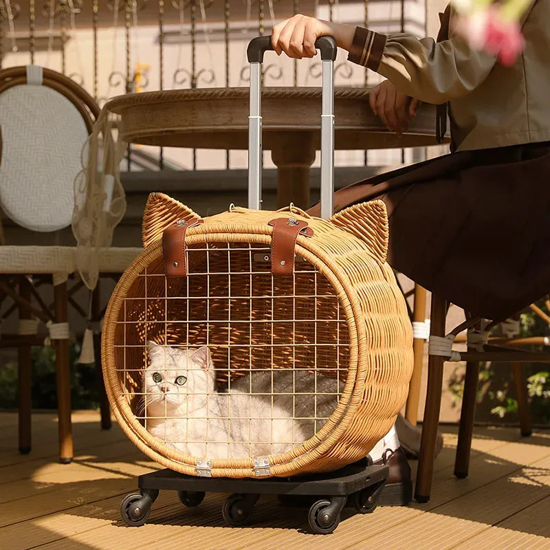 Hand Woven Outdoor Pet Trolley