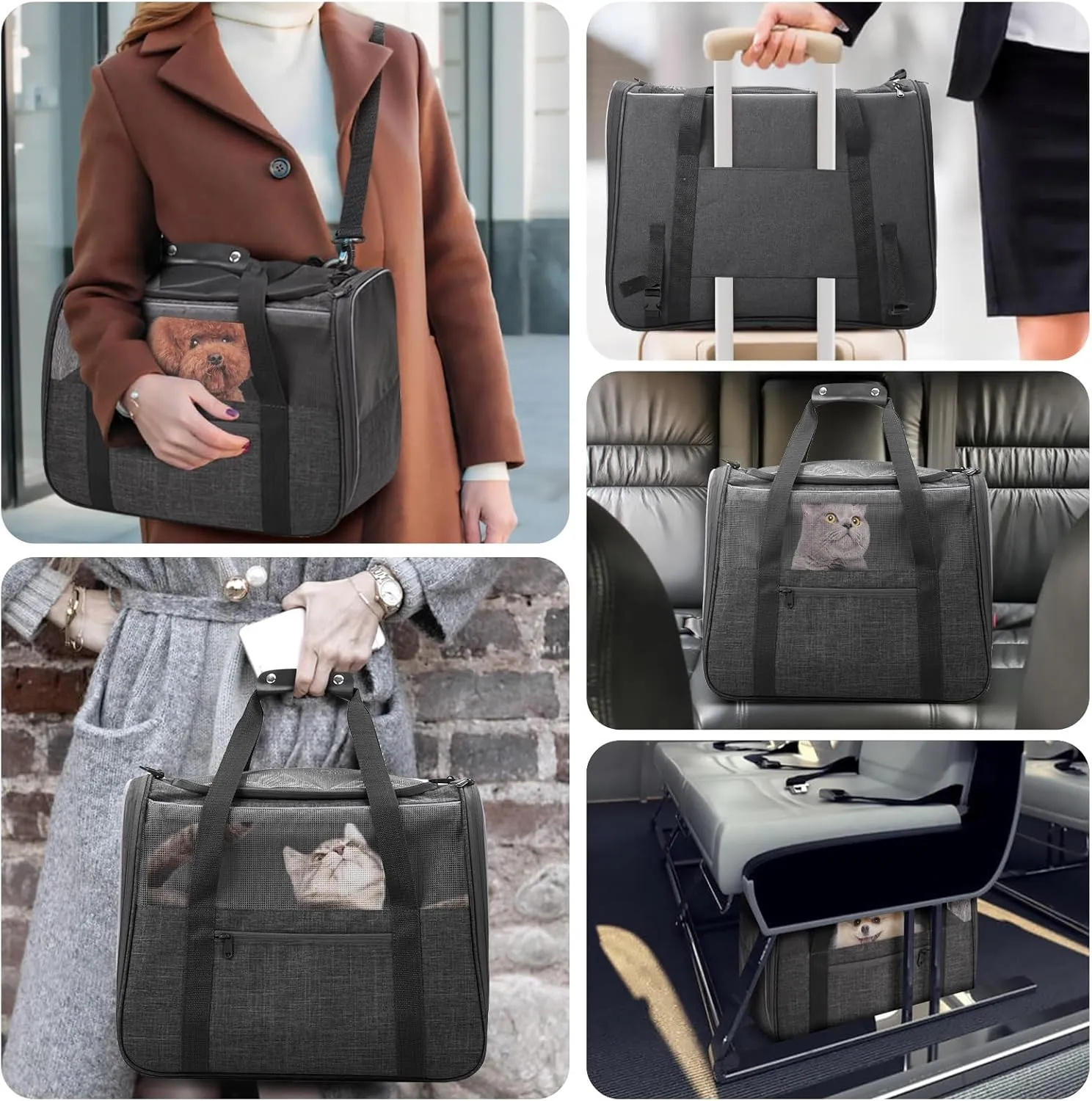 JUNGYOUN Premium ​Cat Carrier - ​Pet Carrier for Cat & Small Dogs up to 15lbs - ​Airline Approved Travel Dog Carrier with Anti-Escape Zippers, Collapsible Travel Bowl & Padded Strap,Dark Grey