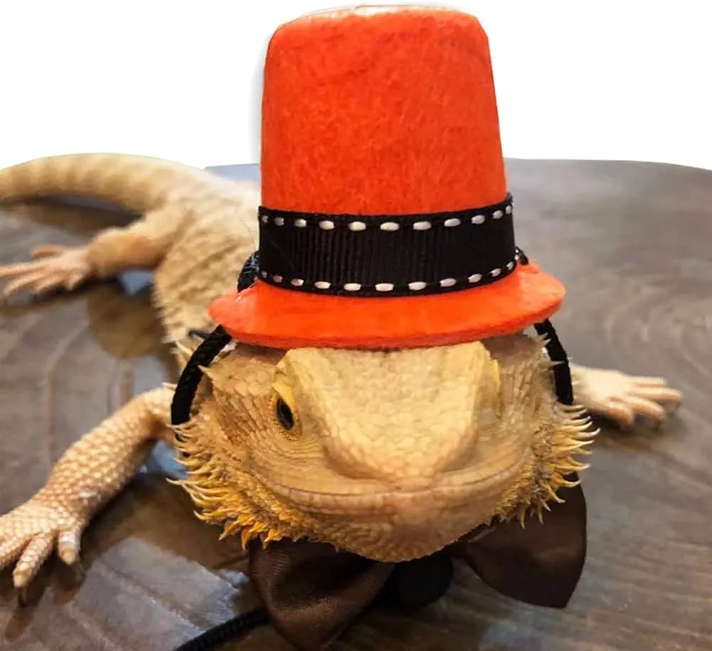 Lizard Costume with Sling Carrier Bearded Dragon Clothing Adjustable Lizards Reptile Carrier Sling Reptile Sleeping Bag for Outdoor Walking (Orange Hat Coffee Bow Tie)