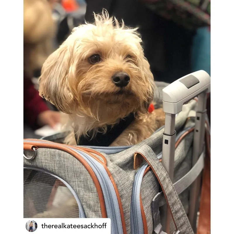Mr. Peanut's Platinum Series Expandable Pet Carrier