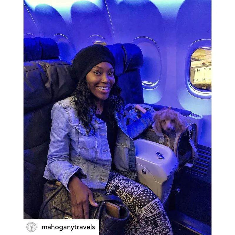 Mr. Peanut's Platinum Series Expandable Pet Carrier