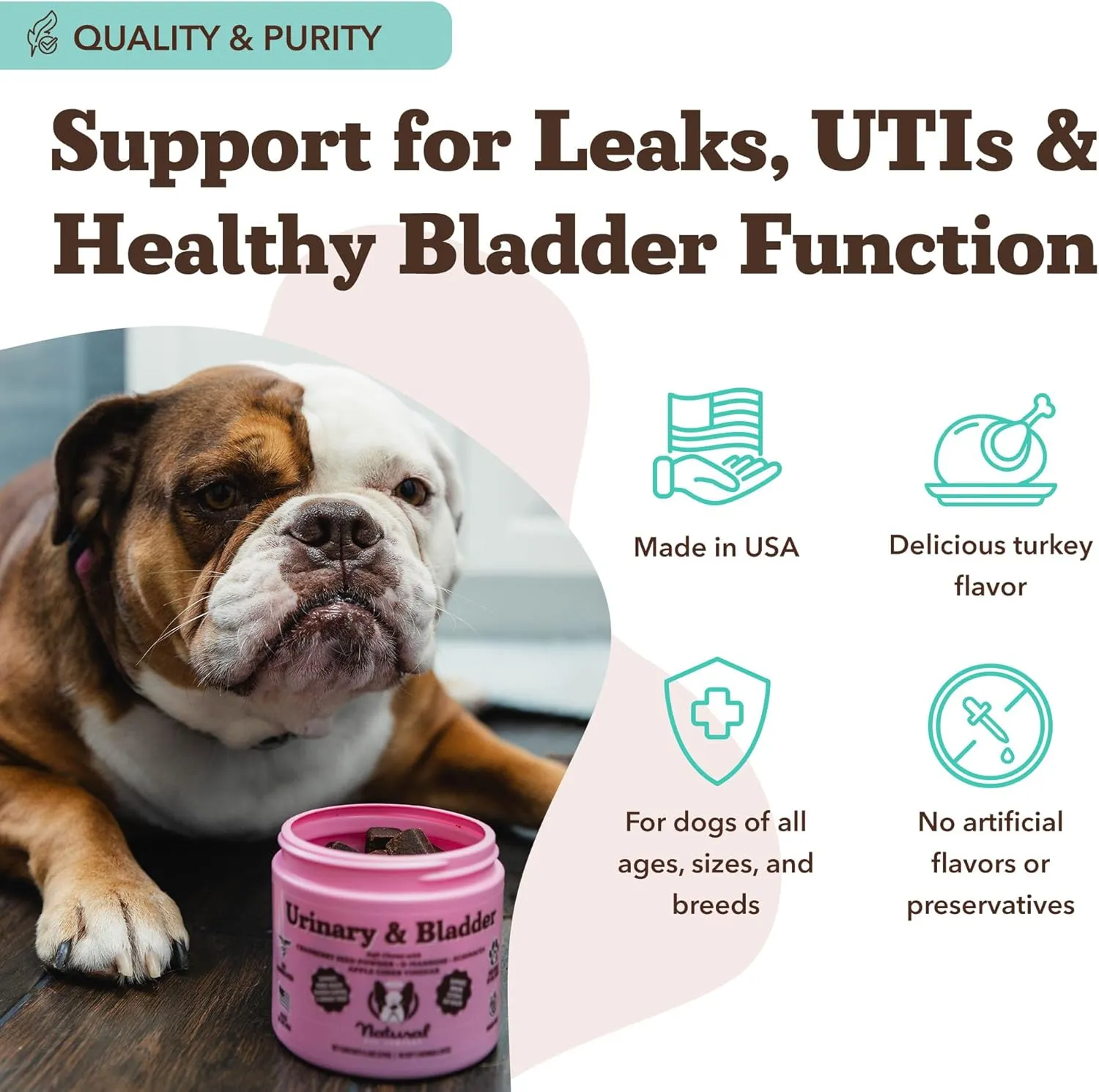 Natural Dog Company Cranberry Supplement for Dogs - Urinary & Bladder Support - D-Mannose for Dog Promotes Bladder Health - Turkey Flavor - Dog UTI Incontinence Supplement - 90 Soft Chews