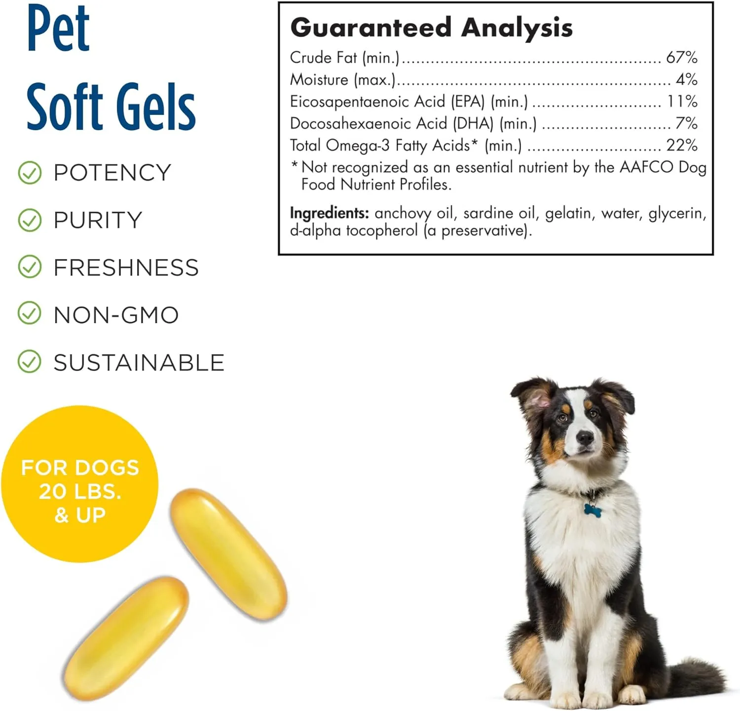 Nordic Naturals Omega-3 Pet, Unflavored - 90 Soft Gels - 330 mg Omega-3 Per Soft Gel - Fish Oil for Dogs with EPA & DHA - Promotes Heart, Skin, Coat, & Immune Health