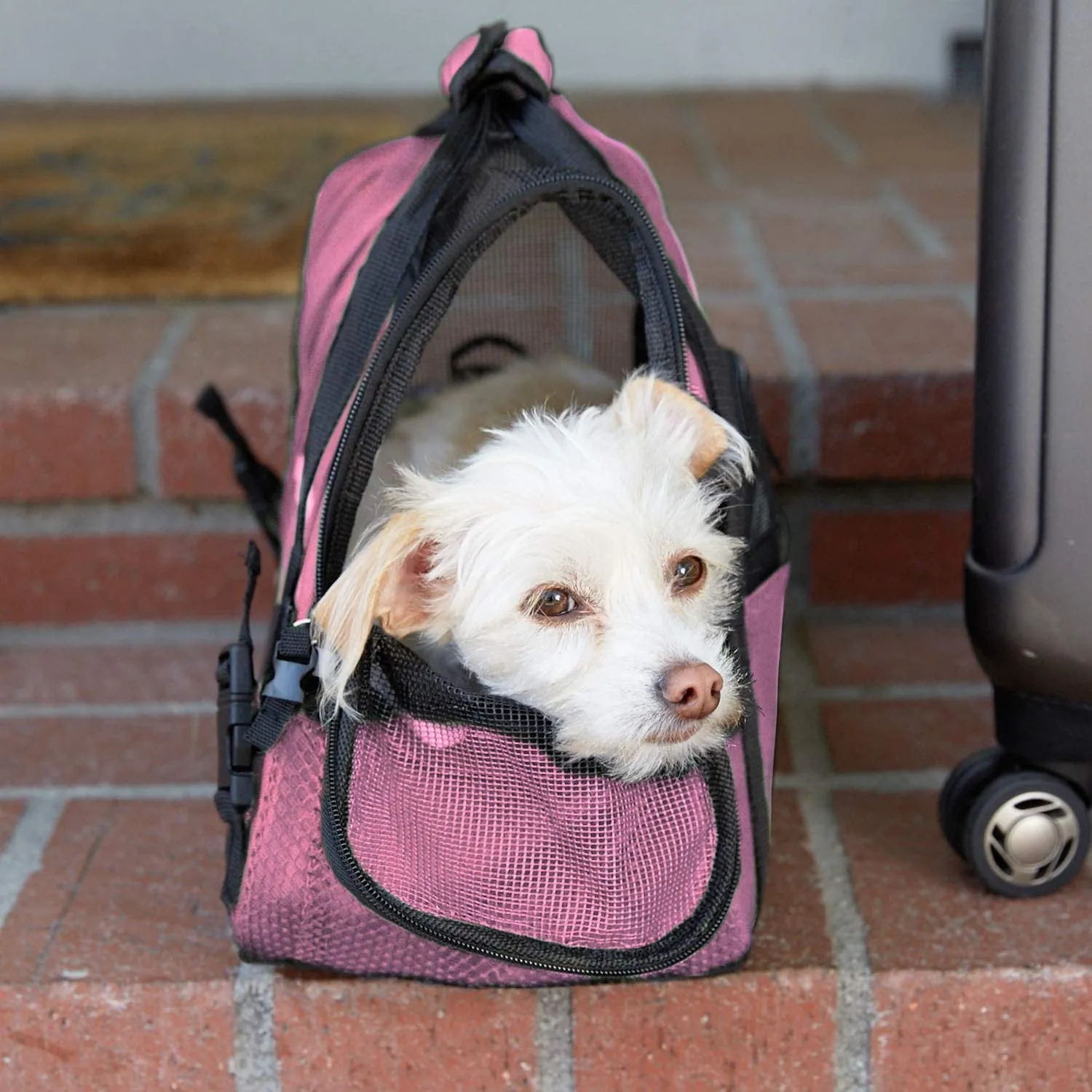 Paws & Pals Airline Approved Soft Sided Pet Carrier