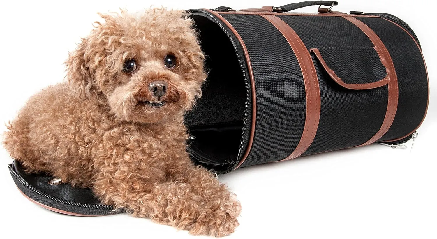 Pet Life Airline Approved Cynlider Fashion Pet Carrier - Airline Approved Travel Dog Carrier for Small Dogs and Cats