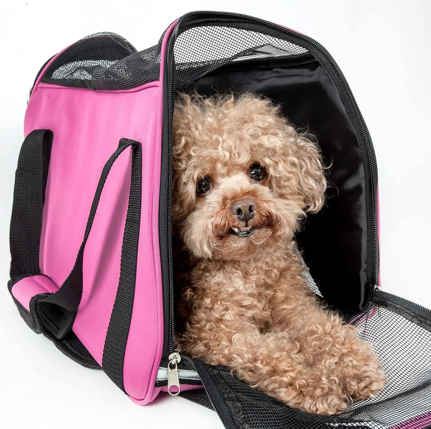 Pet Life 'Altitude-Force' Airline Pet Carrier - Sporty Zippered and Folding Collapsible Travel Cat and Dog Carrier - Travel Pet Carrier with Included Over-The-Shoulder Straps and Pet Mat
