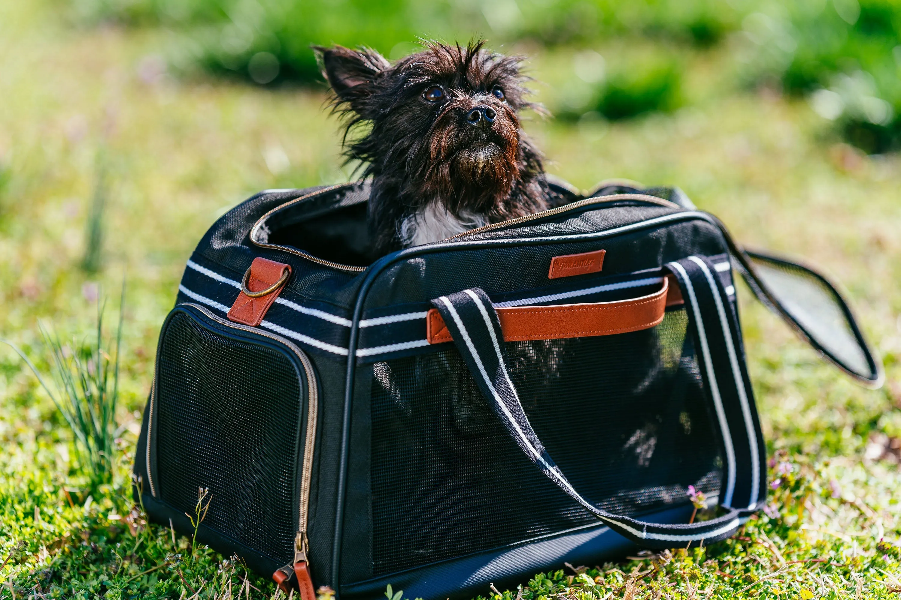 Pet Travel Carrier in Black