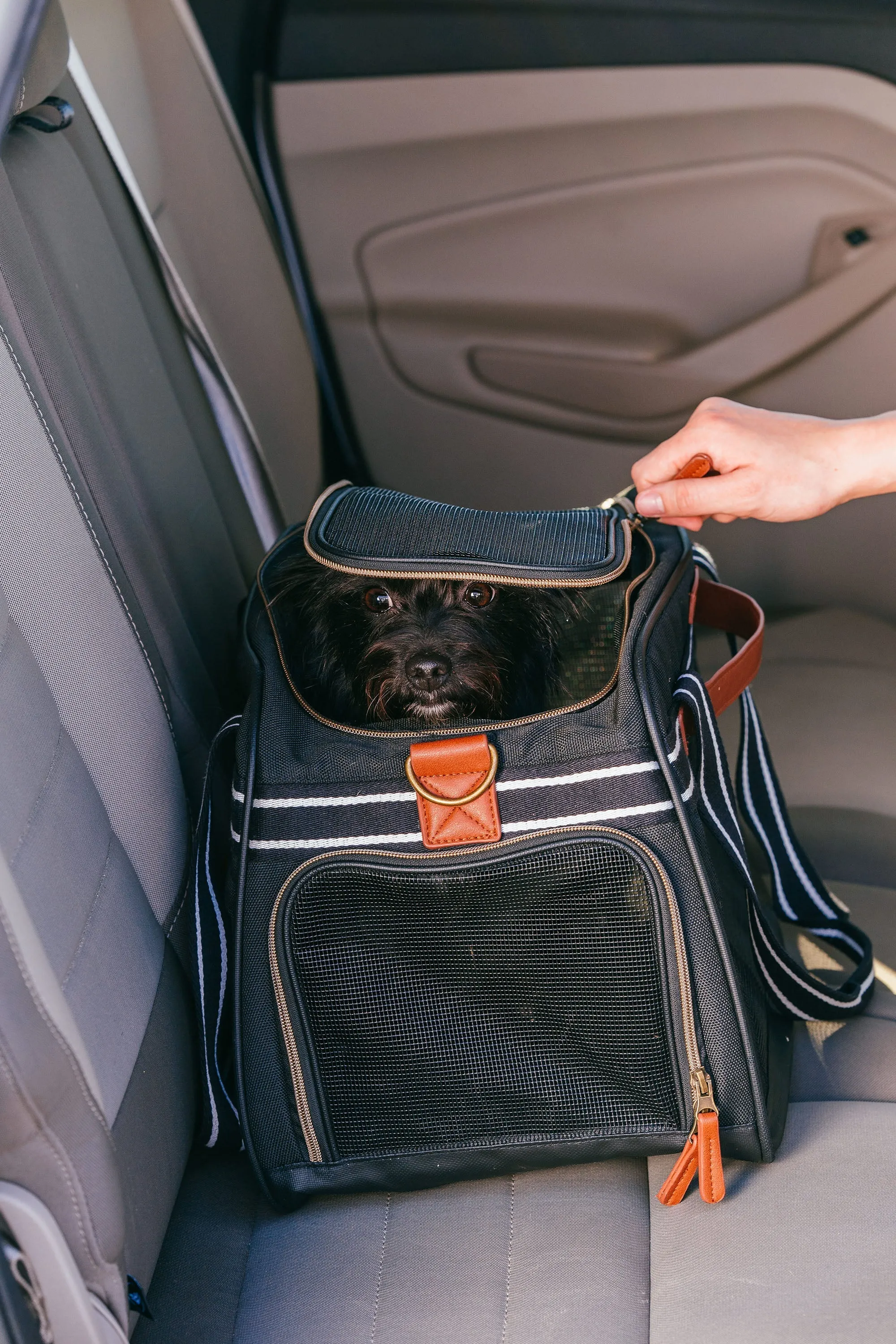 Pet Travel Carrier in Black