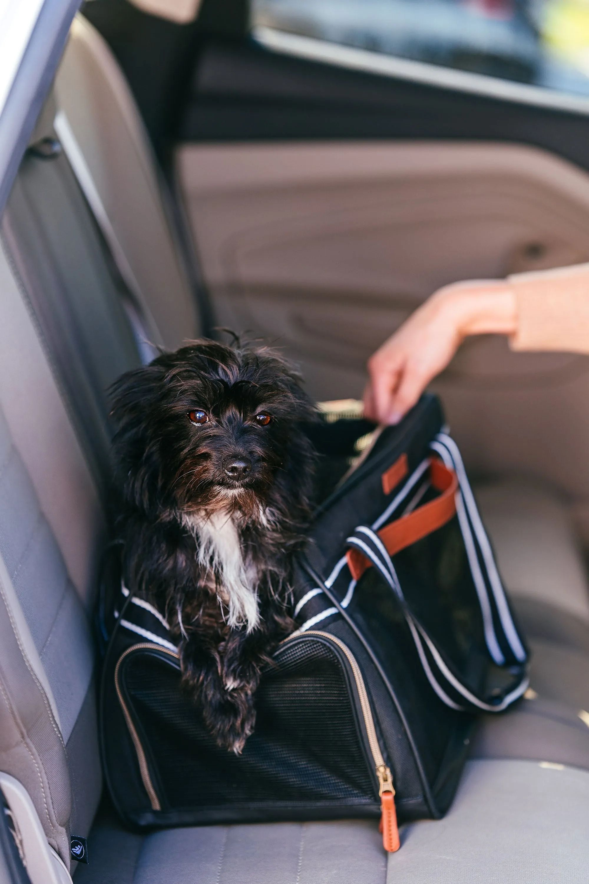 Pet Travel Carrier in Black
