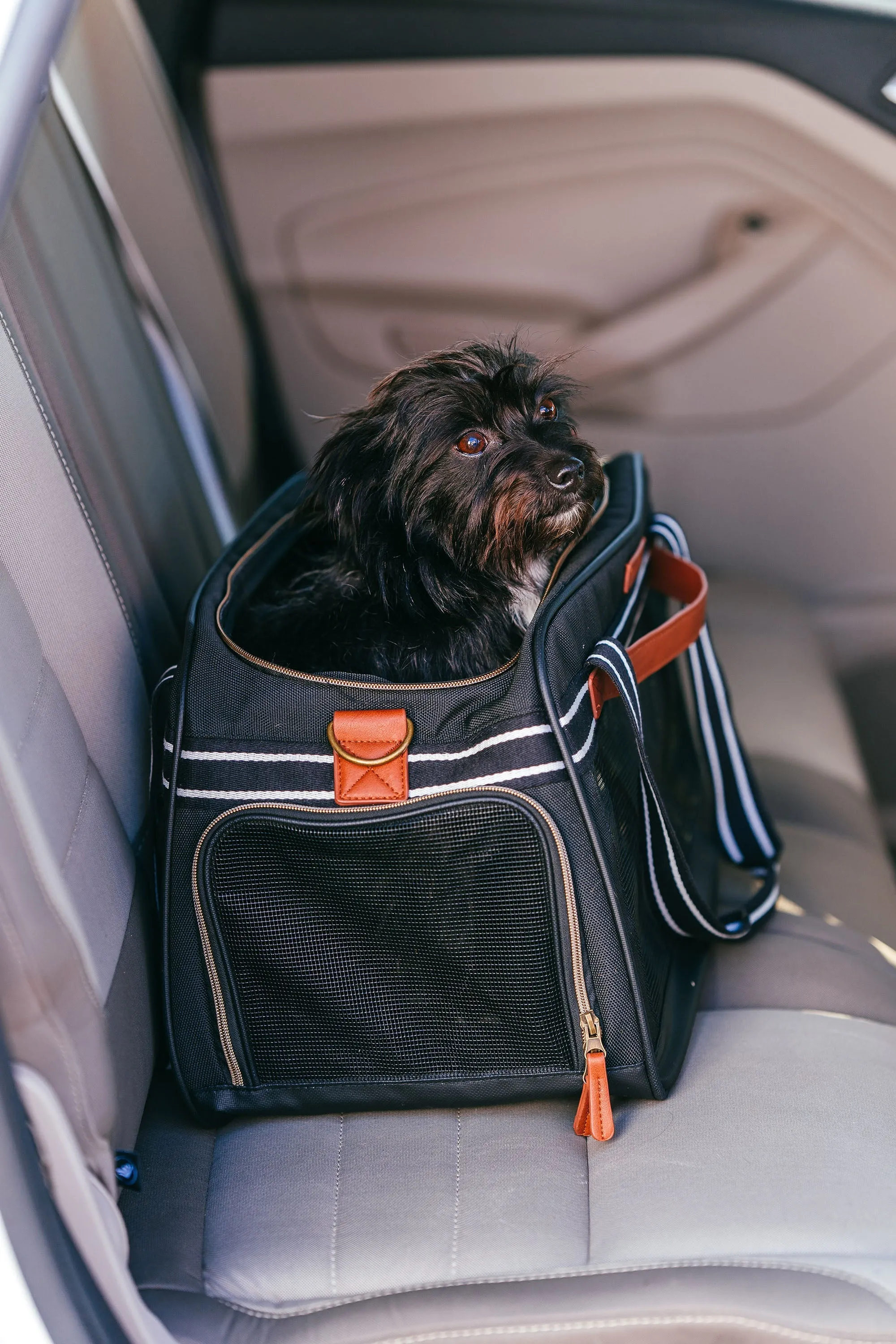 Pet Travel Carrier in Black