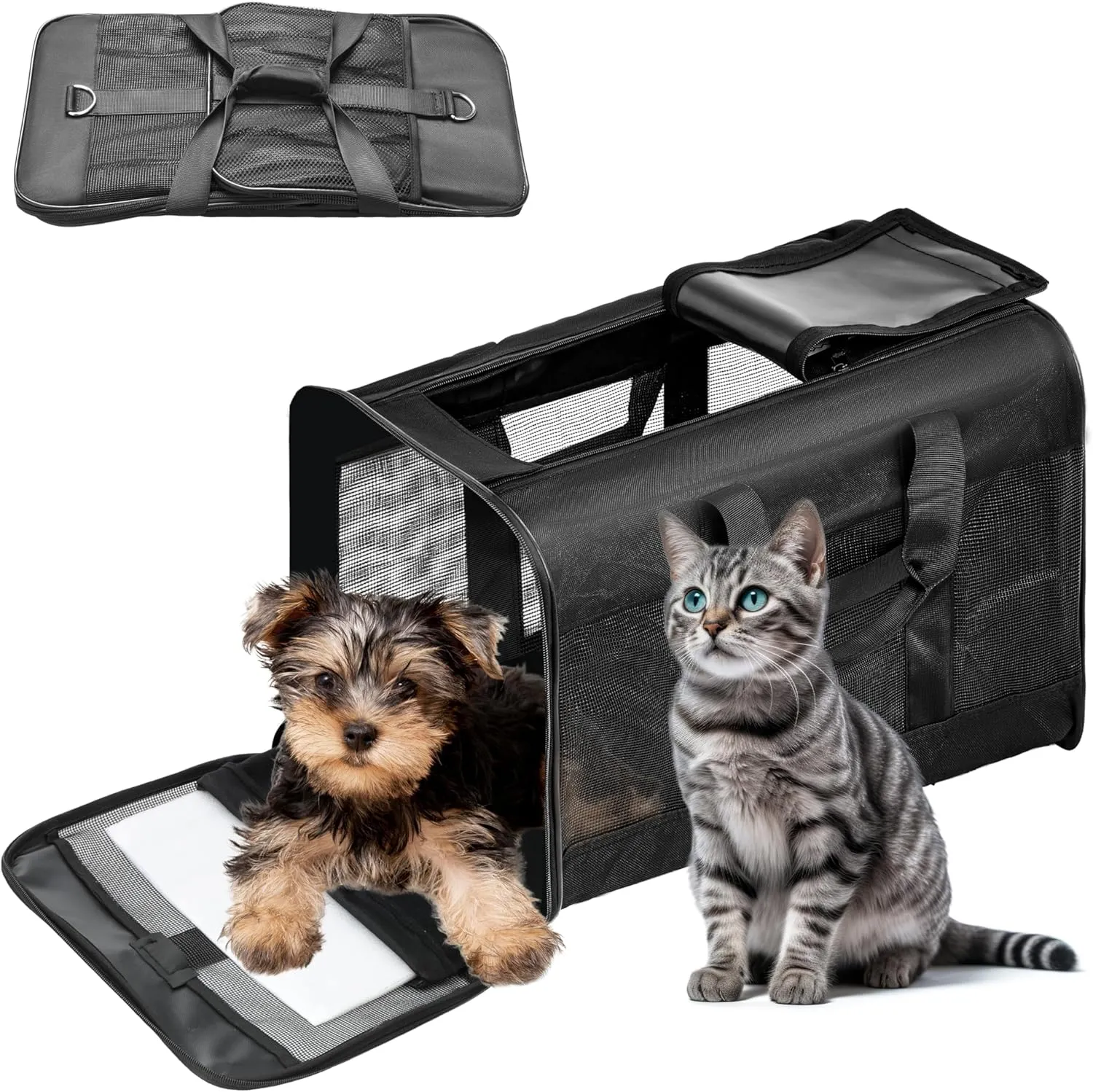 Pet Travel Carrier Soft Sided Portable Bag for Cats, Small Dogs, Kittens or Puppies, Collapsible, Durable, Airline Approved, Travel Friendly (Black Regular)