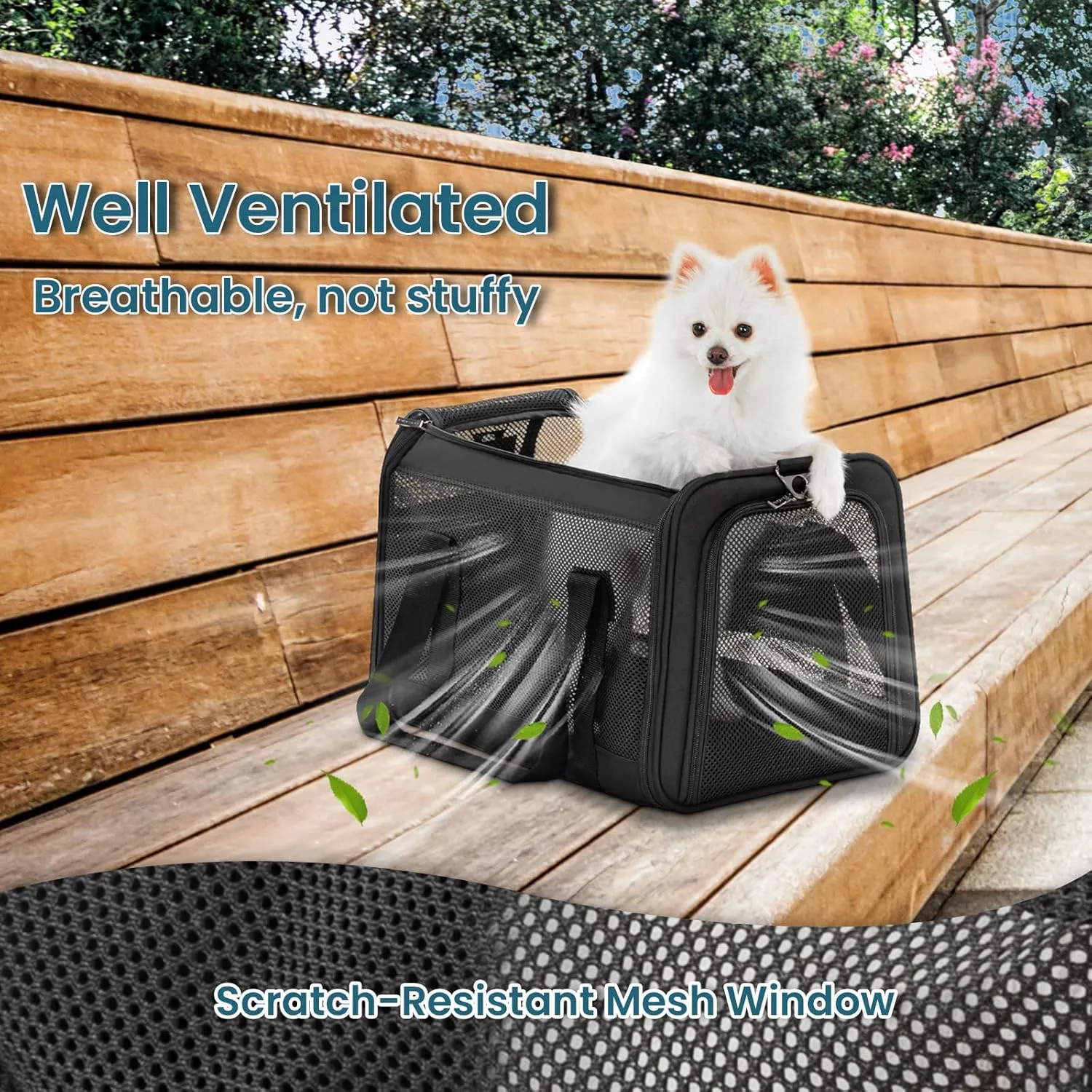 Petsfit Large Cat Carrier for 2 Cats, Lightweight Collapsible Double Cat Carrier for Travel, 5-Sided Breathable Mesh, with Adjustable Shoulder Strap, Sturdy Locking Zipper Head and Washable Fleece Pad