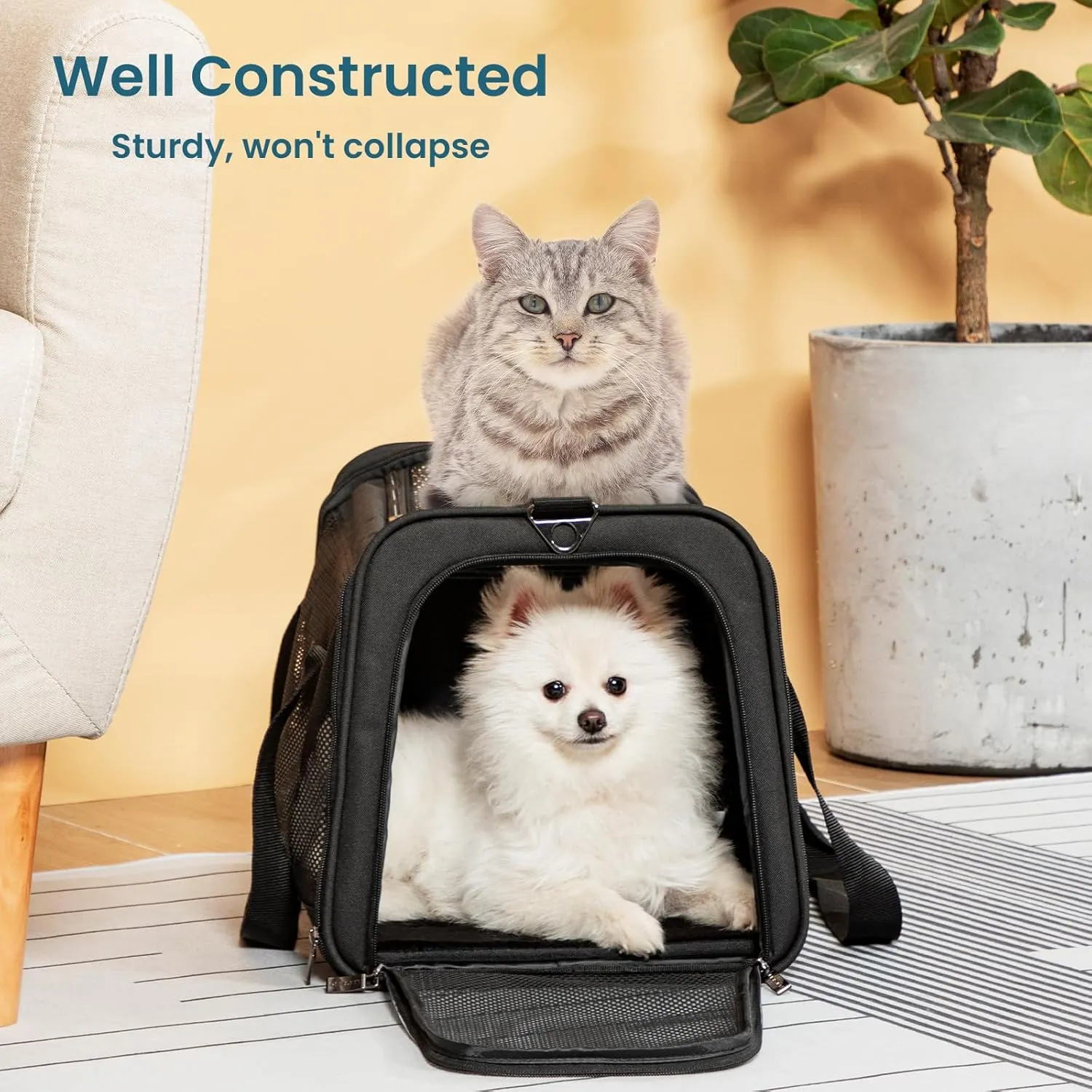 Petsfit Large Cat Carrier for 2 Cats, Lightweight Collapsible Double Cat Carrier for Travel, 5-Sided Breathable Mesh, with Adjustable Shoulder Strap, Sturdy Locking Zipper Head and Washable Fleece Pad