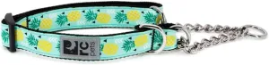 RC Pets 0.6" Martingale Training Collar, X-Small, Pineapple Parade