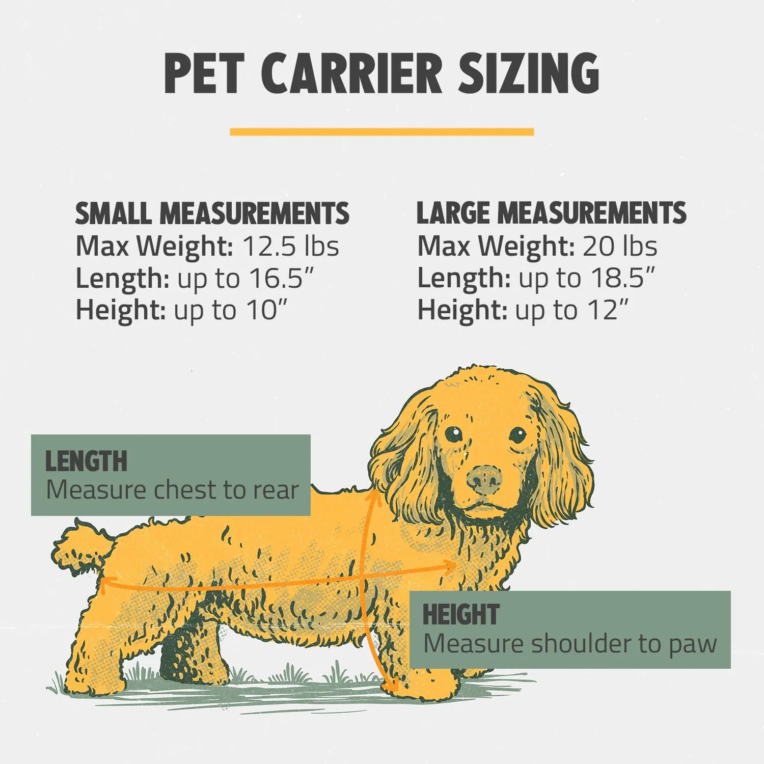 ROVERLUND Airline-Compliant Pet Carrier | Includes Leash | Suitable for Pets up to 20lbs