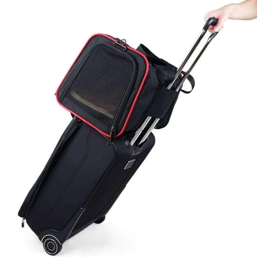 Rynx | Expandable pet carrier for small dogs cats Soft-sided box Airline approved dog house Car travel bag Multifunction pet carrier