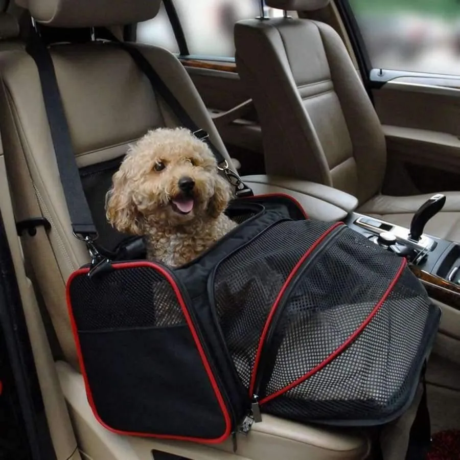 Rynx | Expandable pet carrier for small dogs cats Soft-sided box Airline approved dog house Car travel bag Multifunction pet carrier