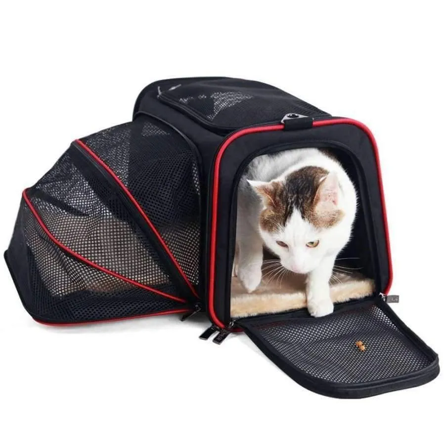 Rynx | Expandable pet carrier for small dogs cats Soft-sided box Airline approved dog house Car travel bag Multifunction pet carrier