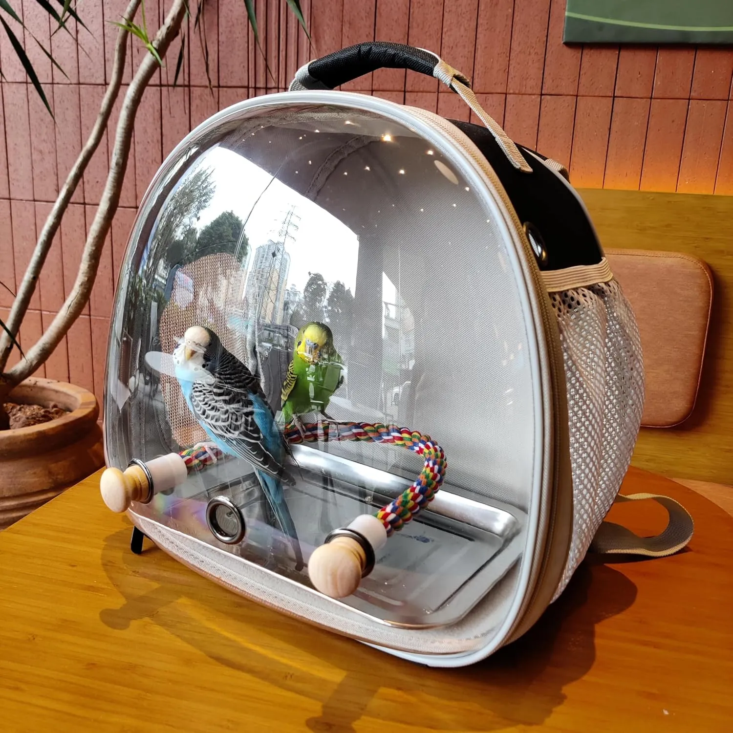 Small Bird Travel Backpack Carrier Cage, Backpack to Transport Backpack Carrier with Metal Tray Stand Perch for Parakeet Cockatiel Budgies Vet Carry Book Bag Black