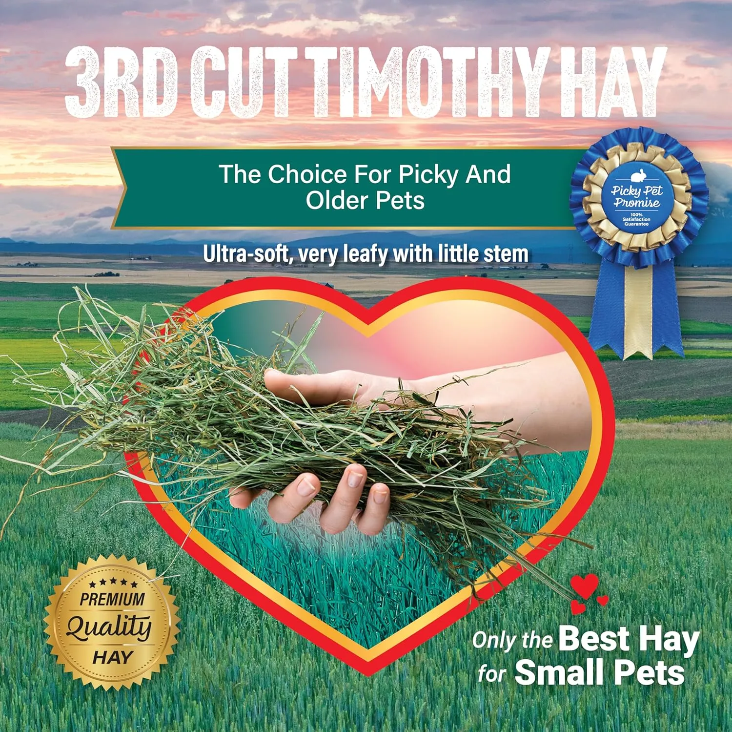Small Pet Select 3Rd Cutting "Super Soft" Timothy Hay Pet Food, 2 Lb., green, 2 Pound (Pack of 1), 32 Ounce