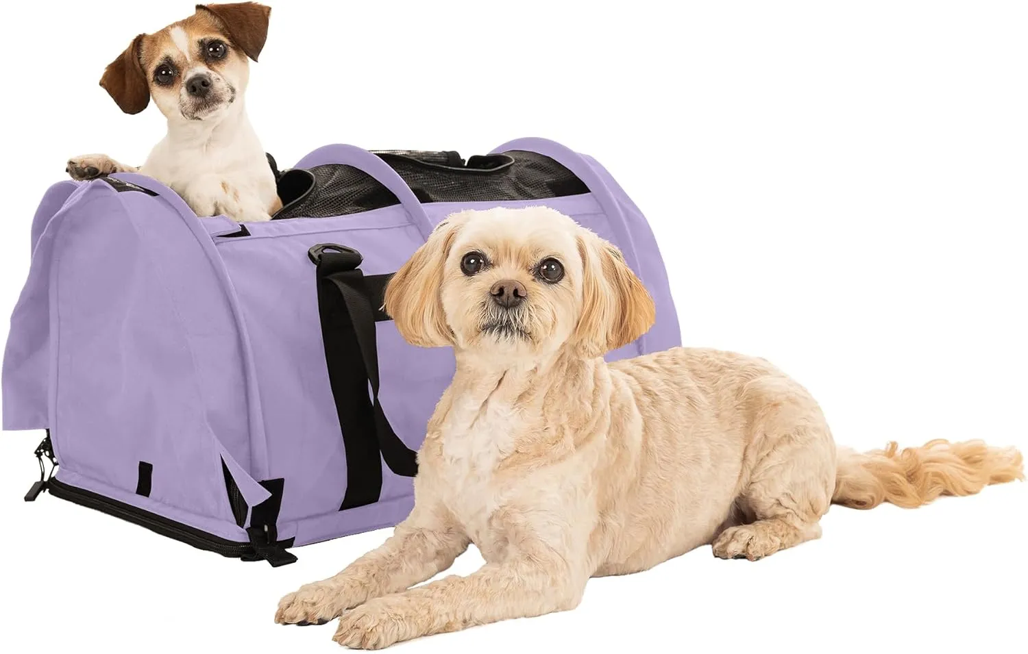 SturdiBag Pro 2.0 Divided Pet Travel Carrier with Flexible Height for Cats and Dogs | Soft Sided Pet Carrier Bag with Safety Clips and Seatbelt Straps for Airplane or Car Travel | Large, Lavender