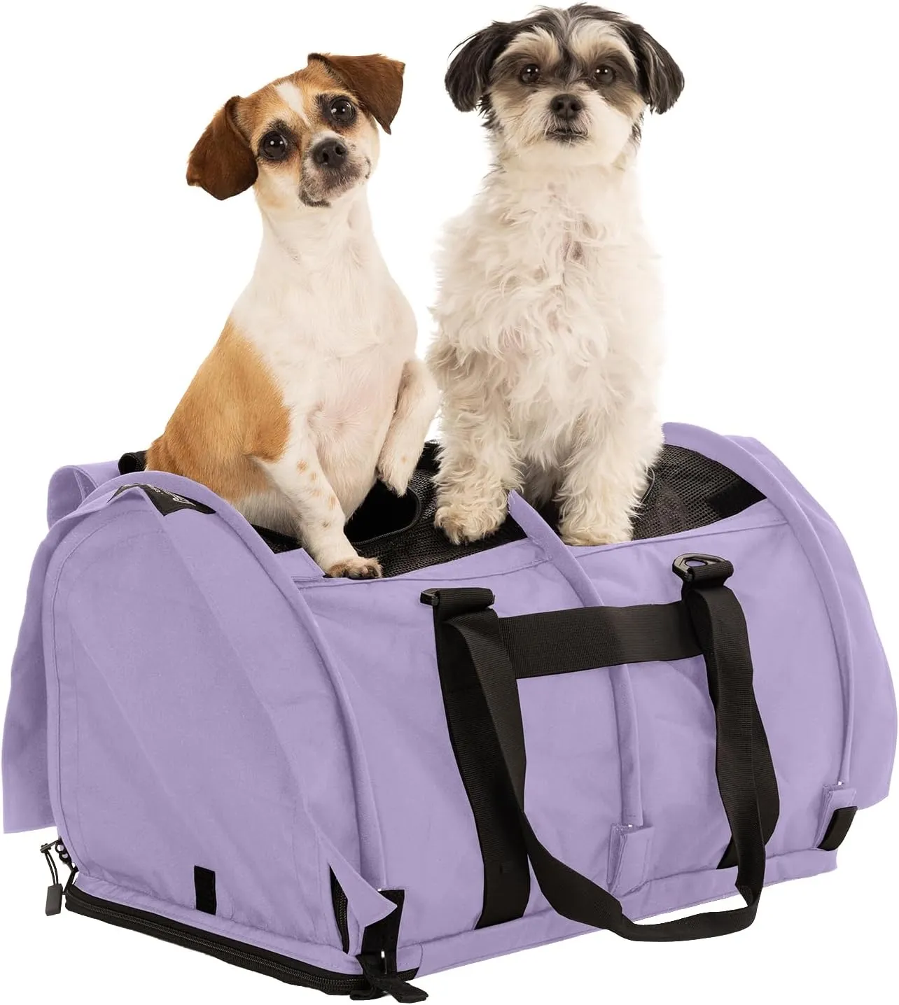 SturdiBag Pro 2.0 Divided Pet Travel Carrier with Flexible Height for Cats and Dogs | Soft Sided Pet Carrier Bag with Safety Clips and Seatbelt Straps for Airplane or Car Travel | Large, Lavender