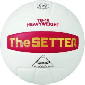 Tachikara Tb-18 The Setter Weighted Training Volleyball