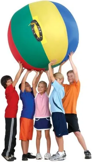 US Games Complete Nylon Cageball (36-Inch)