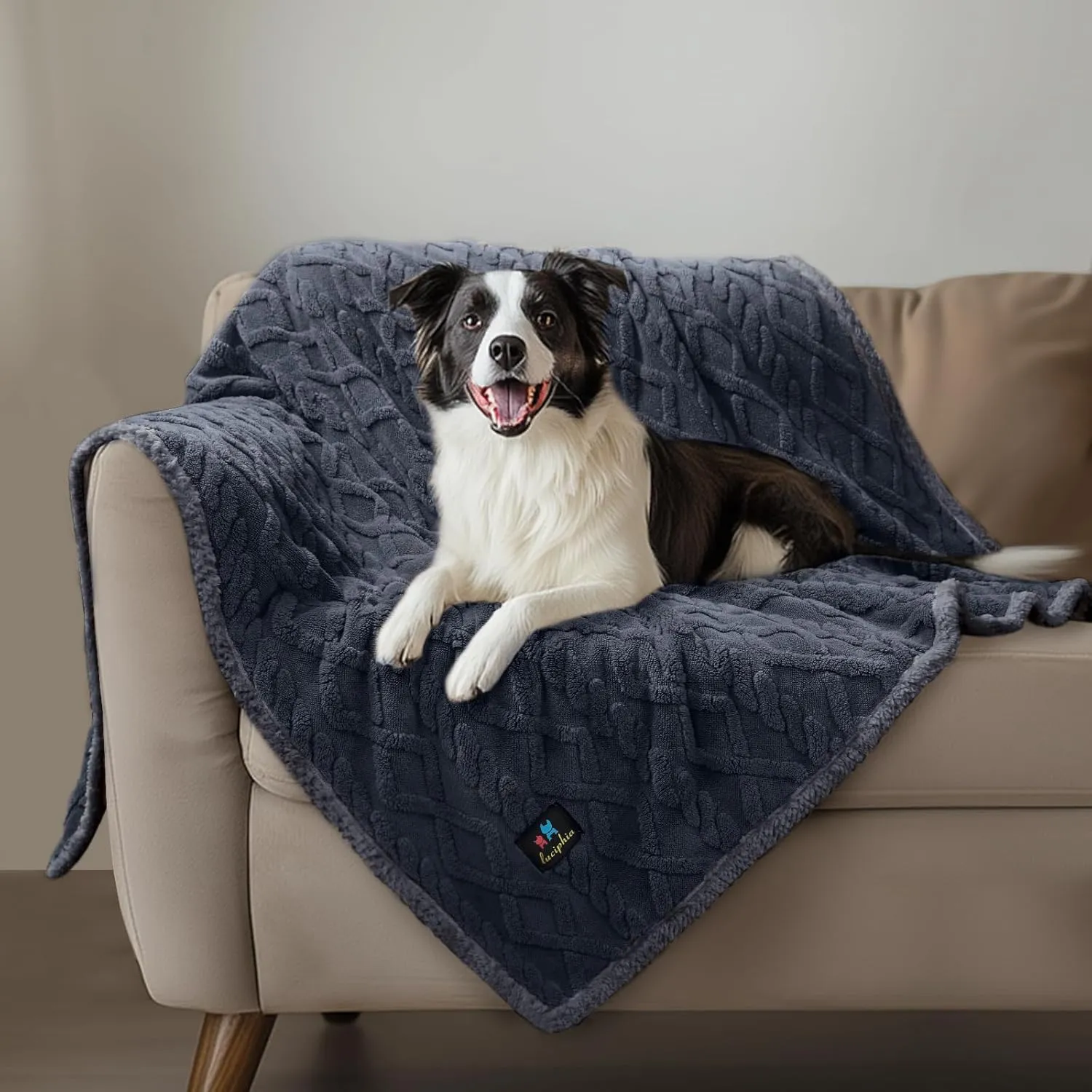Waterproof Pet Blanket, Liquid Pee Proof Dog Blankets for Sofa Bed Couch, Reversible Sherpa Fleece Furniture Protector Cover for Small Medium Large Dogs Cats,Dark Grey X-Large（85" x 57"）