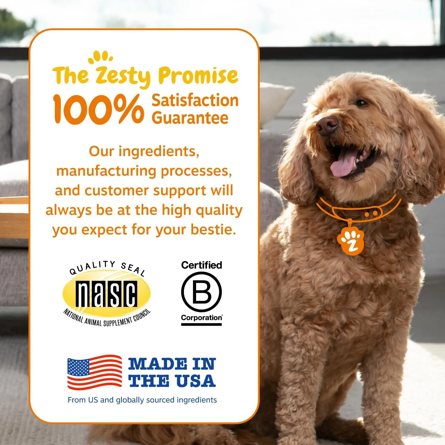 Zesty Paws Probiotics for Dogs, Digestive Enzymes Gut Flora, Digestive Health, Diarrhea & Bowel Support, DE111, Dog Probiotics Soft Chew for Pet Immune System, Pumpkin, 50 Ct