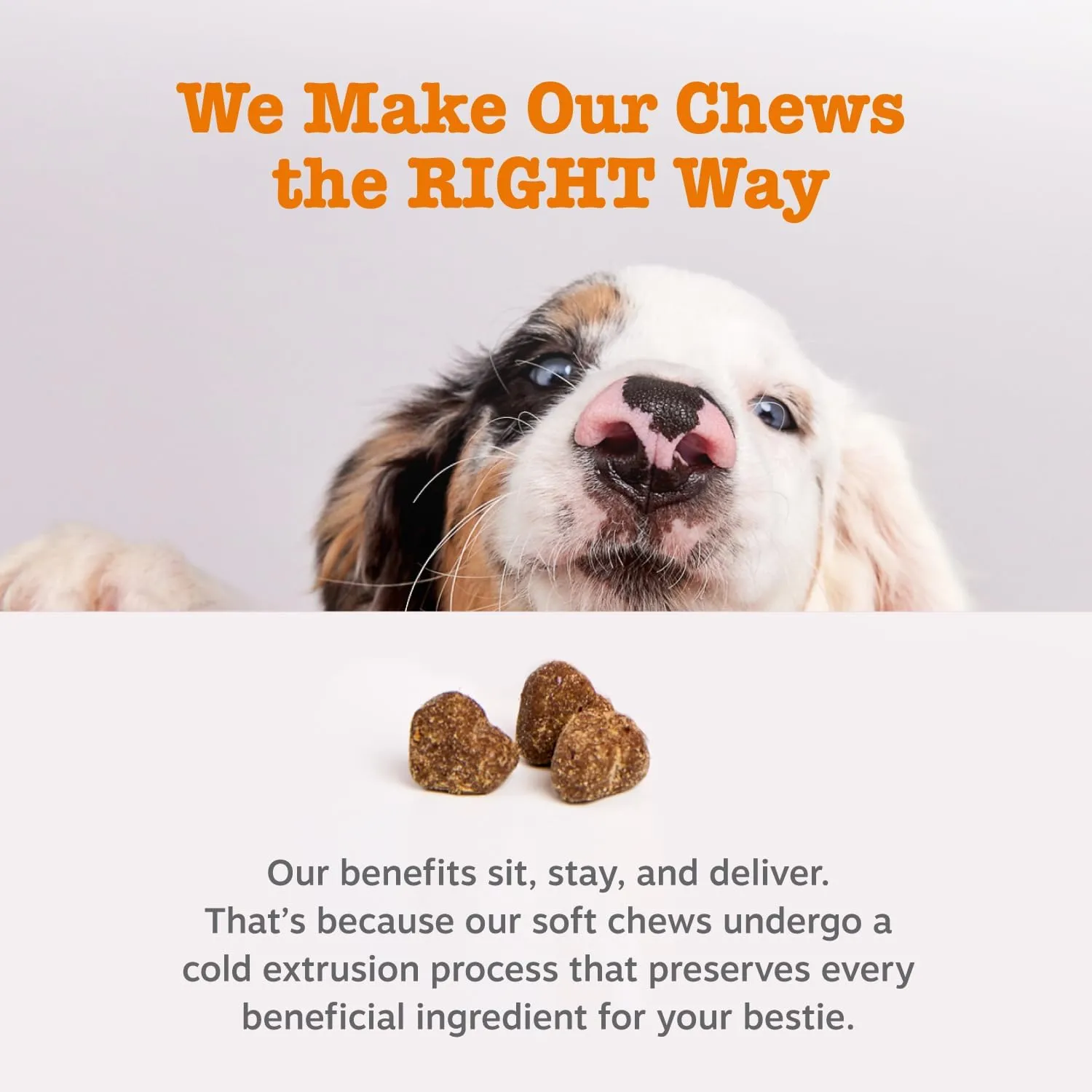 Zesty Paws Probiotics for Dogs, Digestive Enzymes Gut Flora, Digestive Health, Diarrhea & Bowel Support, DE111, Dog Probiotics Soft Chew for Pet Immune System, Pumpkin, 50 Ct