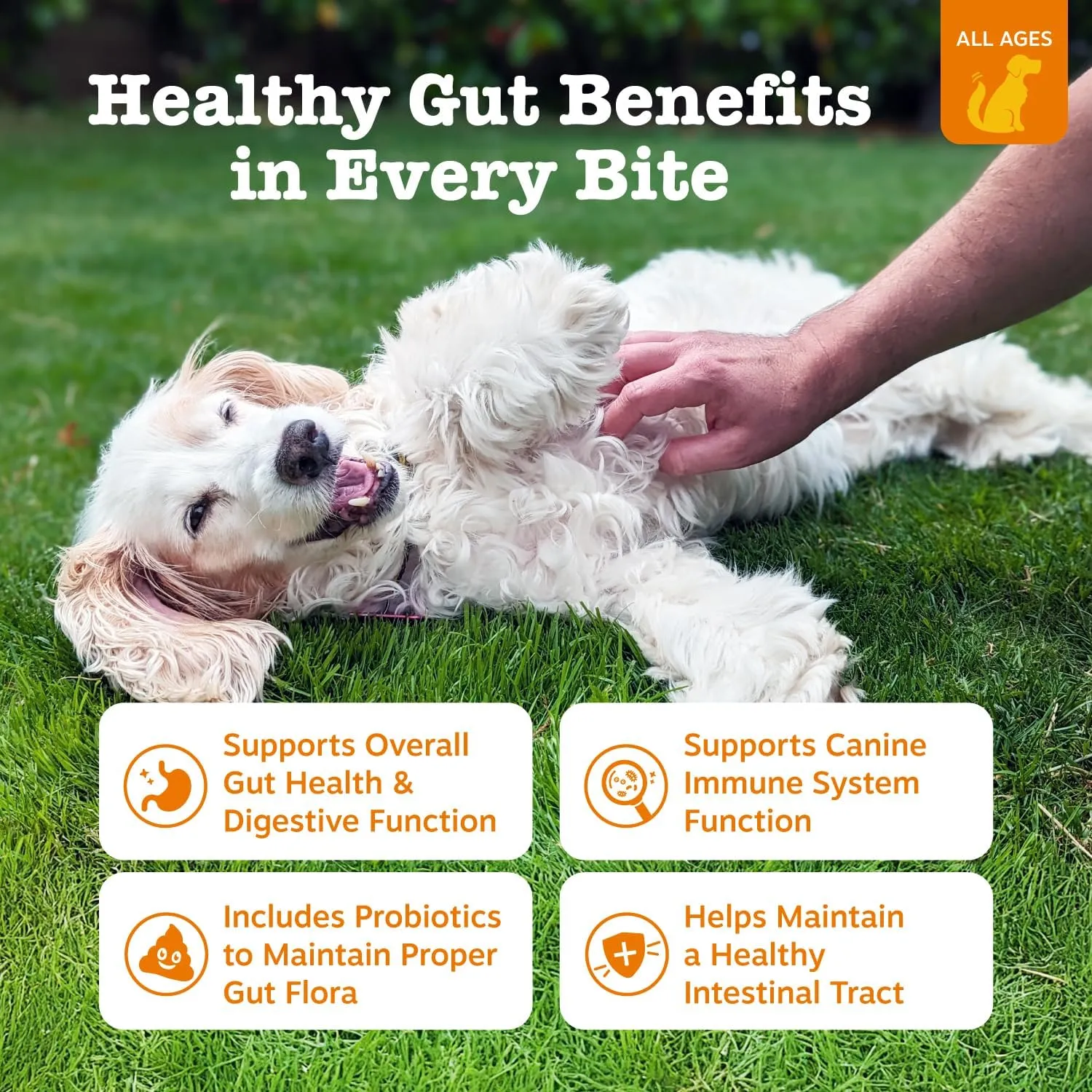Zesty Paws Probiotics for Dogs, Digestive Enzymes Gut Flora, Digestive Health, Diarrhea & Bowel Support, DE111, Dog Probiotics Soft Chew for Pet Immune System, Pumpkin, 50 Ct